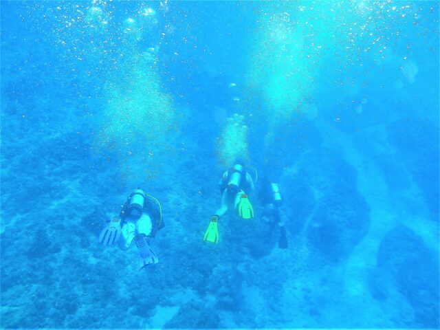 与那国島海底地形をダイビングする2人