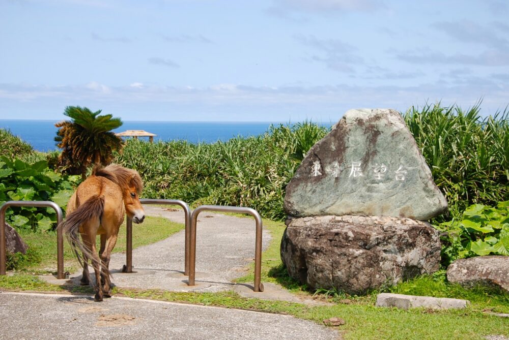 与那国島　風景