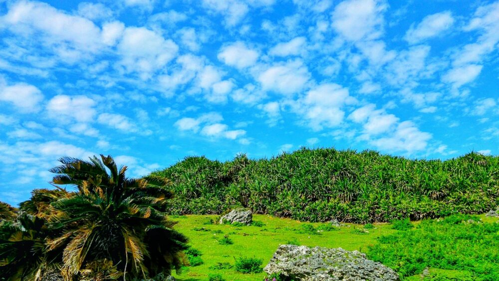 与那国島　風景