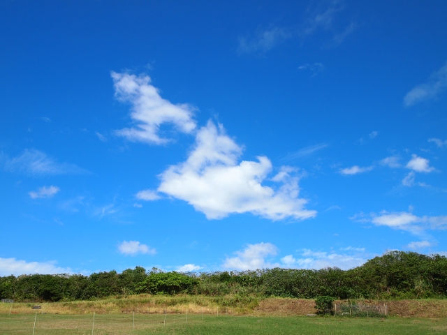 与那国島の12月とは？天気・服装・おすすめアクティビティ・イベントをご紹介！