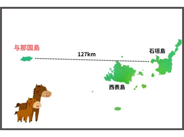 【2024年版】与那国島で楽しめるツアー10選をご紹介！