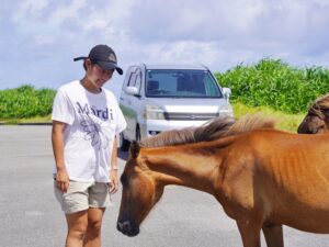 ＊OPEN SALE【与那国島/約3時間】初めての与那国島にもおすすめ☆島ガイドがご案内する観光スポット周遊ツアー《送迎付き＆写真無料》（No.6）