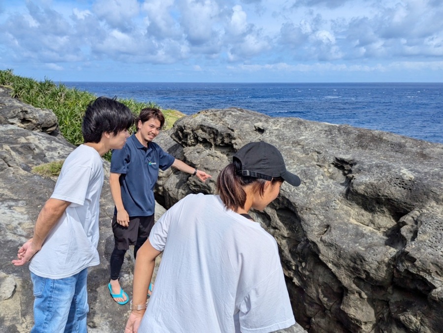 【与那国島/約3時間/ディナー付き】与那国島満喫♪絶景観光と島イタリアンディナー付き贅沢ツアー《ガイド同行・送迎付き》（No.14）