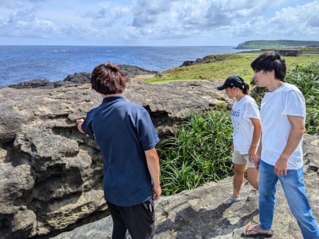 島内観光ツアー