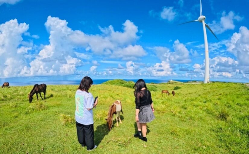 与那国島 観光モデルコース　与那国島周遊ツアー、観光スポット、ガイド付き