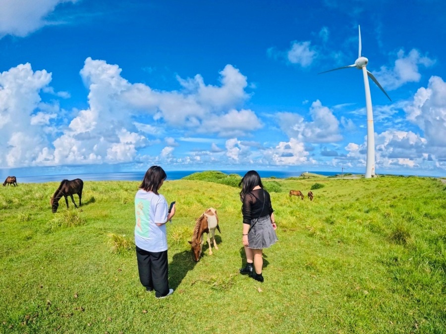 与那国島 観光モデルコース　与那国島周遊ツアー、観光スポット、ガイド付き