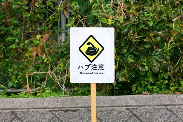 与那国島って本当に怖い場所？噂の真相について徹底解説！
