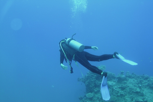 与那国島海底遺跡の周辺海域で、豊かな自然と地形を楽しむスキューバダイビング。