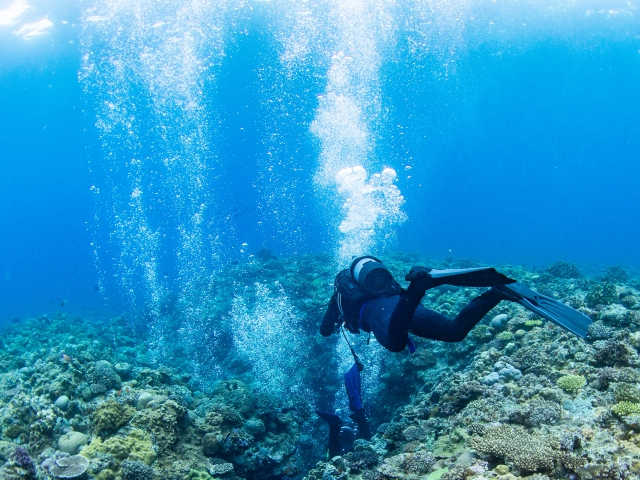 透明度の高い与那国島の海で、光を反射する気泡とともに泳ぐダイバー。