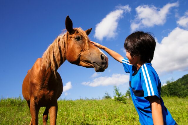 馬と子供のふれあい