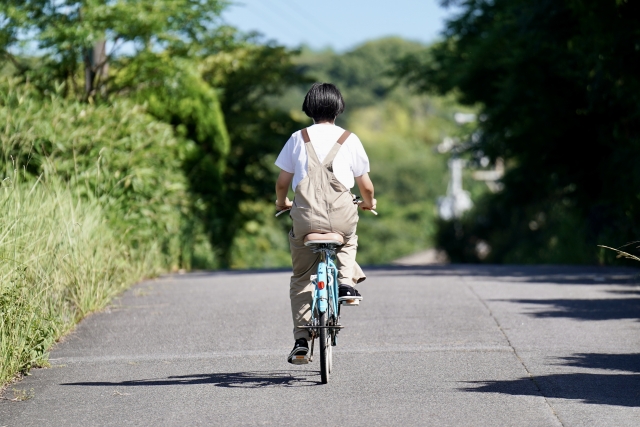 与那国島 レンタサイクル