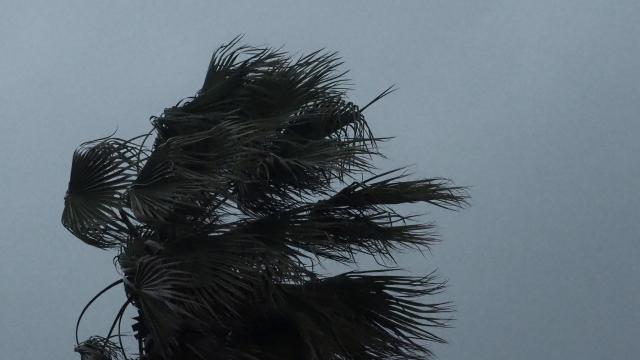 雨 台風